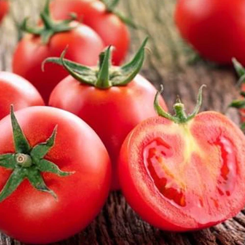 Tomato - Sub Arctic Plenty (Early) (Determinate) 3 Tomato - Sub Arctic Plenty (Early) (Determinate)