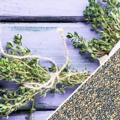 Thyme -Speed now thyme seeds