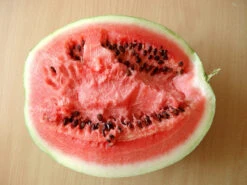 Watermelon - Moon & Stars (Red-flesh) 9 Watermelon - Moon & Stars (Red-flesh) -Speed now watermelon 2687183 1280