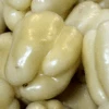 Pepper (Sweet) - White Cloud 1 Pepper (Sweet) - White Cloud -Speed now white cloud bell pepper