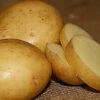 Potato (Early-Season) - Yukon Gold (ORGANIC) 1 Potato (Early-Season) - Yukon Gold (ORGANIC) -Speed now yukon gold potato